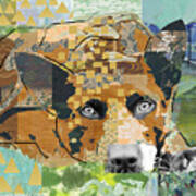Dog Dreaming Collage Poster