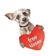 Dog Free Valentines Day Kisses Poster