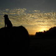 Dog On Hay Greeting Sunrise Poster