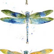 Dragonfly Bliss-jp3443 Poster