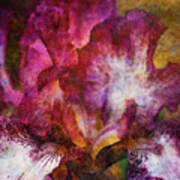 Dramatic White And Purple 0273 Idp_2 Poster