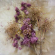 Dried Flowers Poster