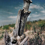 Driftwood Cross At The Beach Poster