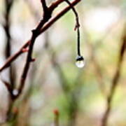 Drop Of Rain Poster