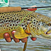 Dry Fly Brown Poster