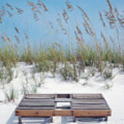 Dual Wooden Tanning Beds On White Sand Dune Destin Florida Poster