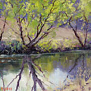 Duckmaloi River Reflections Poster