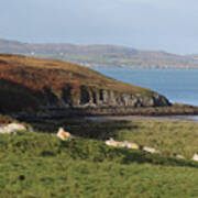 Dunree Coast Donegal Ireland Poster