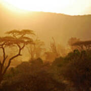 Dust Over Samburu Poster