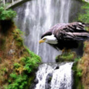 Eagle By The Waterfall Poster