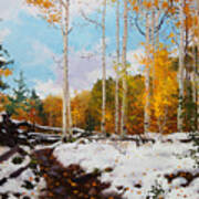 Early Snow Of Santa Fe National Forest Poster