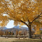 Earthy Fall Colors Poster