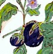 Eggplants I Have Known Poster