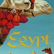 Egypt, Camel Head Over Blue Sky Poster