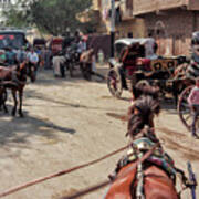 Egyptian Street Carriage View.... Poster