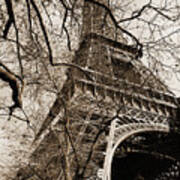 Eiffel Tower Through A Myriad Of Branches Paris France Sepia Poster