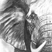 Elephant For Alabama Poster