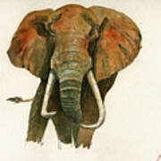 Elephant Painting Poster