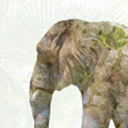 Elephant Palms Poster