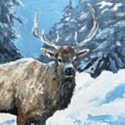 Elk Of The Tetons Poster