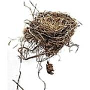 Empty Nest
Blown Out Of A Poster