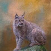 Eurasian Lynx Wildlife Poster