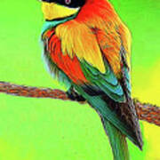 European Bee Eater Poster