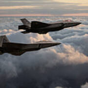 F22 With F35 Poster