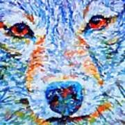 Face Of A Wolf Poster