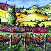 Fairfield Vineyards Poster