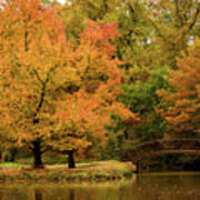 Fall At The Arboretum Poster