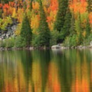 Fall Color On Bear Lake In Rocky Mountain National Park Poster