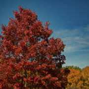 Fall Colors, Ashville, Nc Poster