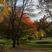 Fall Colors At Brooks Poster