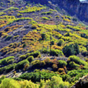 Fall Colors In The Hills Of Glenwood Springs Poster