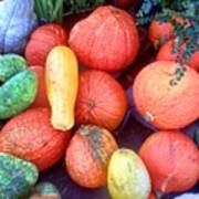 Fall Colors Pumpkins And Gords 6 Poster