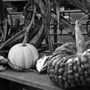 Fall Gourds Poster