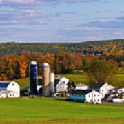 Fall In Amish Country Poster