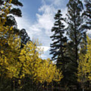 Fall In The Rockies Poster