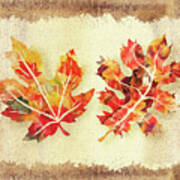 Fall Leaves Collection Poster