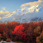 Fall Snow On Timpanogos. Poster