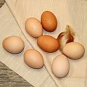 Farm Fresh Eggs Poster