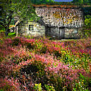Farm In The Heather Poster