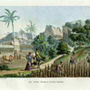 Farming On Guam Island Poster