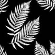 Fern Pattern Black And White Poster
