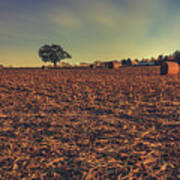 Field In The Moonlight Poster