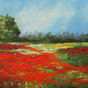 Field Of Poppies Viii Poster
