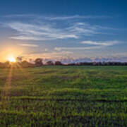 Field Sunset Poster