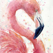 Flamingo - Facing Right Poster