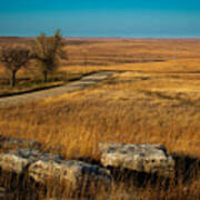 Flint Hills Two Trees Poster